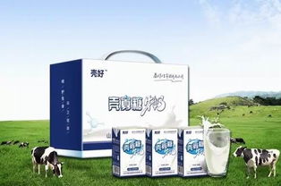 衛(wèi)康 以科技創(chuàng)新驅動健康事業(yè)，引領甲殼素農業(yè)肥料新潮流