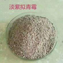 微生物肥料價格走勢與市場動態(tài) 聚焦農化網(wǎng)第三頁批發(fā)報價及甲殼素農業(yè)肥料研發(fā)銷售新趨勢